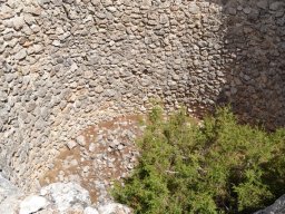 Valle de Leiva-Perdiz 2010